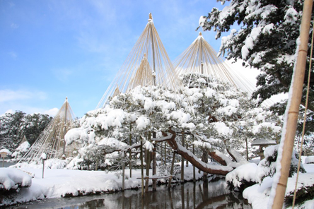 易遊嚴選~ 星宇樂玩北陸5天．牧歌之里戲雪．兼六園．傘松雪吊．樂高樂園+水族館．白川合掌村．上三之町．下呂溫泉