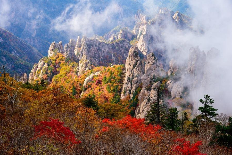 【二晚明洞】迷戀雪嶽山~正東津海洋列車、船橋莊、三岳山湖水纜車5日(不進保肝)