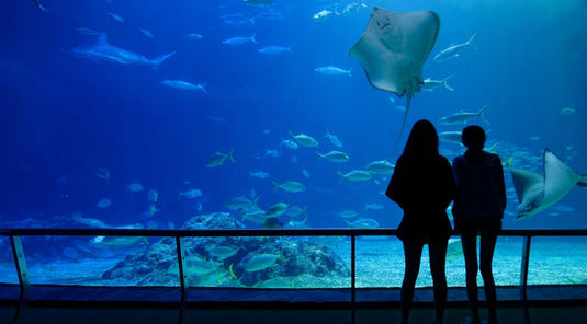 澎湖水族館