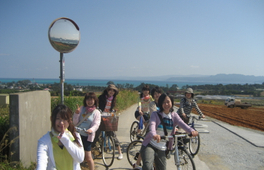 日本沖繩屋我地島自行車之旅