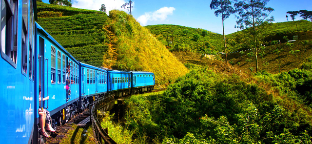 晚鳥限時搶♯五星珍珠～斯里蘭卡『高山火車．生態世遺』９天