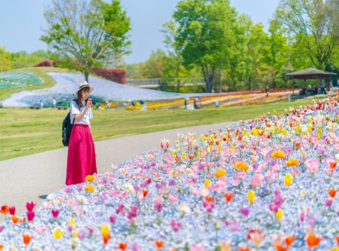 【璀璨四國】讚岐滿濃花爛漫．大步危峽谷遊船．鳴門漩渦之道．德島阿波舞．金刀比羅宮．屋島展望台．高知城．名湯饗宴4天