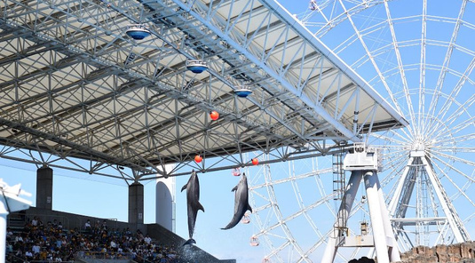 【名古屋】名古屋港水族館