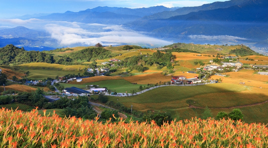 花東.六十石山金針花+關山小鎮漫遊 日暉渡假村3天