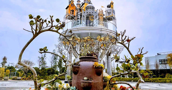 宜蘭 大人囝仔 赫蒂法歐風莊園城堡 螢火蟲亂舞 三奇稻間美徑 豬籠草果凍飲 花田村桐花 紫森林三富農場2日 Eztravel易遊網