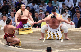 名古屋大相撲錦標賽觀賽體驗（2024年7月）