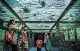 芭提雅怪物水族館門票