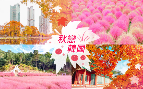 追楓早鳥省♯秋楓首爾５日〈彩妝一站〉-楊州Nari農園波波草、香草島足浴+香草茶、抱川藝術谷單軌車、良才市民之林、蠶院漢江公園