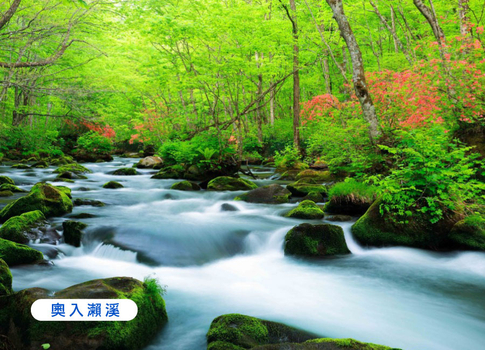 早鳥獨家省♯【TTE旅展】東北星空物語四重奏5日.奧入瀨溪谷.採果樂.銀山溫泉.松島遊船.銀河纜車.燒肉吃到飽(花花)