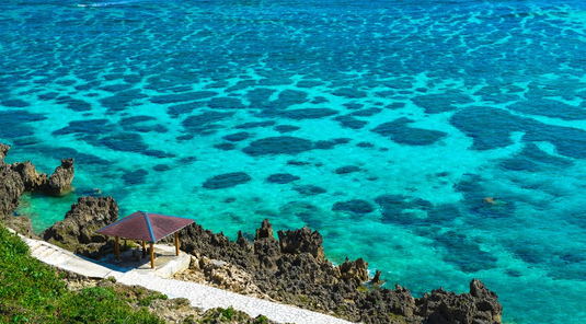 【星宇航空】宮古島自由行4天‧東急酒店3晚(台中出發)