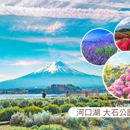 晚鳥俱樂部♯【酷超值】東京溫泉5日.富士山景觀纜車.大石公園.忍野八海.豐洲千客萬來.新倉山淺間神社.麻布之丘