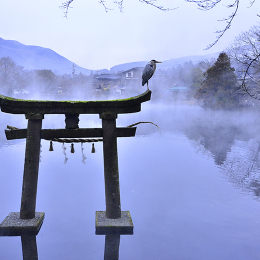 IT【雪妝北九州】北九州冬景色.熊本.湯布院小鎮.福岡4天