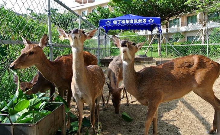 景點照片