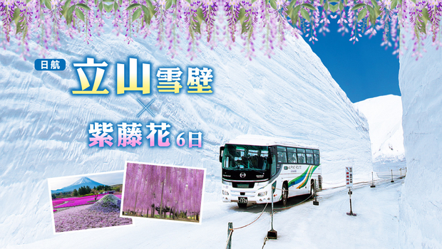 立山雪壁紫藤花六日 足利紫藤.輕井澤.合掌村.上高地.富士芝櫻