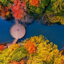 【真航易起飛．楓采釜山5日】不進蔘肝、古剎楓紅梵魚寺、楓紅聖知谷、金剛山楓紅纜車、大渚粉紅花田、彩色膠囊列車、伽倻公園塗鴉秀（台中）
