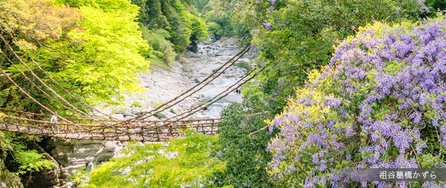 超值四國５日–隈研吾雲上建築巡禮、松山城纜車、漫步道後溫泉