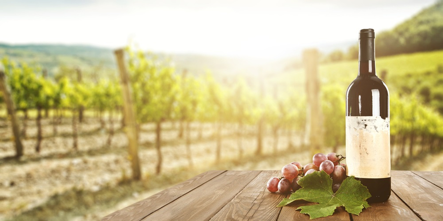 紐澳假期~黃金海岸輕鬆7日(擁抱無尾熊、酒莊品酒、黃金海岸遊船) 28