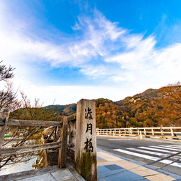 夏日即食行樂♯精緻假期~大阪京都奈良.奈良鹿公園.春日大社.嵐山渡月橋.清水寺.輕鬆休閒半自由行五日