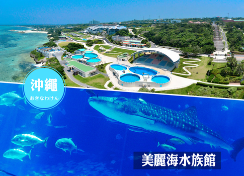 晚鳥俱樂部♯ITF搶購沖繩4日.世界最美之海水族館.星野下午茶.系滿漁市海鮮‧愛購暢遊(贈送一日單軌電車卷)