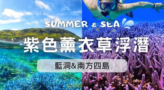【紫色薰衣草】珊瑚森林浮潛．自由行3天