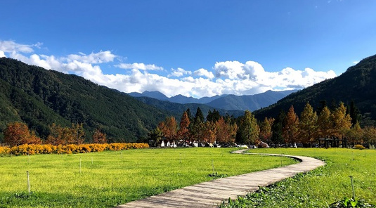 宜蘭傳藝風華+武陵農場賞花迎新春2天