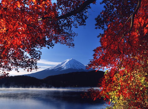 歲末超殺♯追楓早鳥省♯易遊x星宇楓紅東京.河口湖紅葉祭.輕井澤.富士纜車.小江戶川越.銀杏大道.忍野八海.雙溫泉