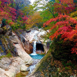 【迷戀雪嶽山】正東津海洋列車、晨靜樹木園、鹽田網美咖啡廳、韓服體驗5日(一站彩妝)
