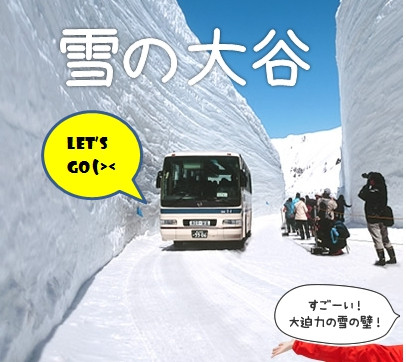 雪之大谷立山黑部天脈絕壁~粉蝶花.足利紫藤.富士芝櫻六日