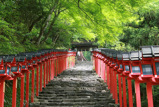 暑假餘位揪團省♯京都慢活之旅~鴨川漫步.貴船神社水占卜.宇治平等院.大阪五日