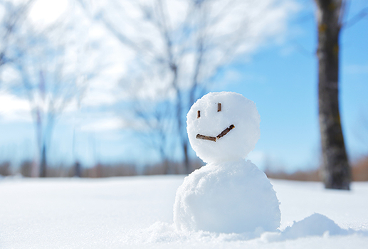 易起FUN寒假♯北海道羊駝戲雪趣~函館夜景.尼克斯.螃蟹放題五日(函/旭)