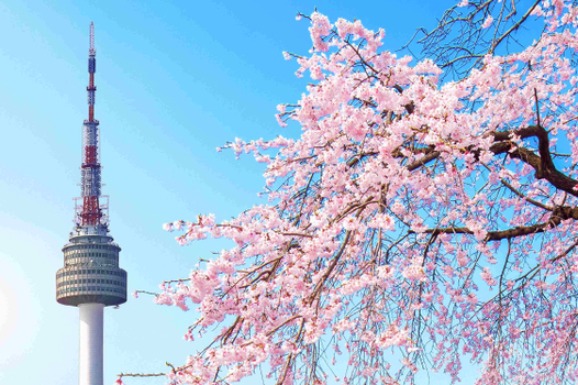 易起FUN寒假♯《不走人蔘+保肝+免稅店+土產店》韓雪飄飄滑雪去5日-德威航空-高雄飛仁川