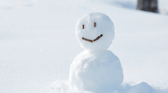 雙12瘋狂折扣♯易遊戲雪~星宇冬玩九州5天.九重森林戲雪.自然動物園+叢林巴士.九十九島遊船+水族館.萌熊電鐵.三大蟹放題.雙溫泉飯店(熊本進出)