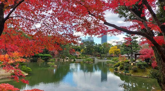 【廣島】廣島縮景園