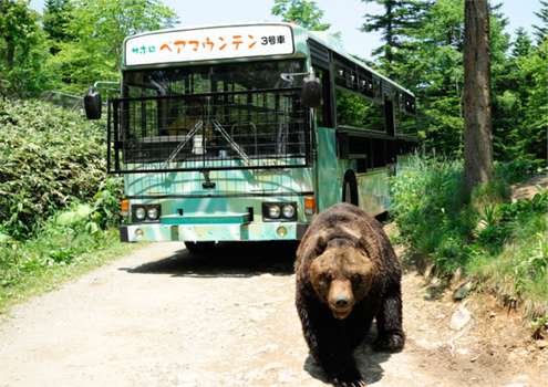 暑假揪團超省♯北海道嬉遊記5日-體驗熱氣球、牧羊犬秀、野生熊山、富田農場、白金青池、四季彩之丘、浪漫小樽、螃蟹食放題