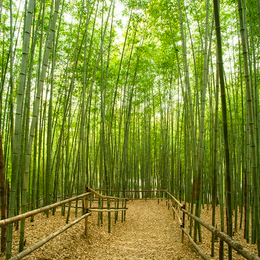 《不走人蔘+保肝店》雄雄HIGH玩釡山真精彩5日(入住五花酒店一晚)-德威航空-高雄直飛