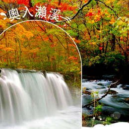 賞楓限時省♯星艷東北楓紅奧入瀨溪.角館小京都.銀山溫泉街.溫泉美食五日