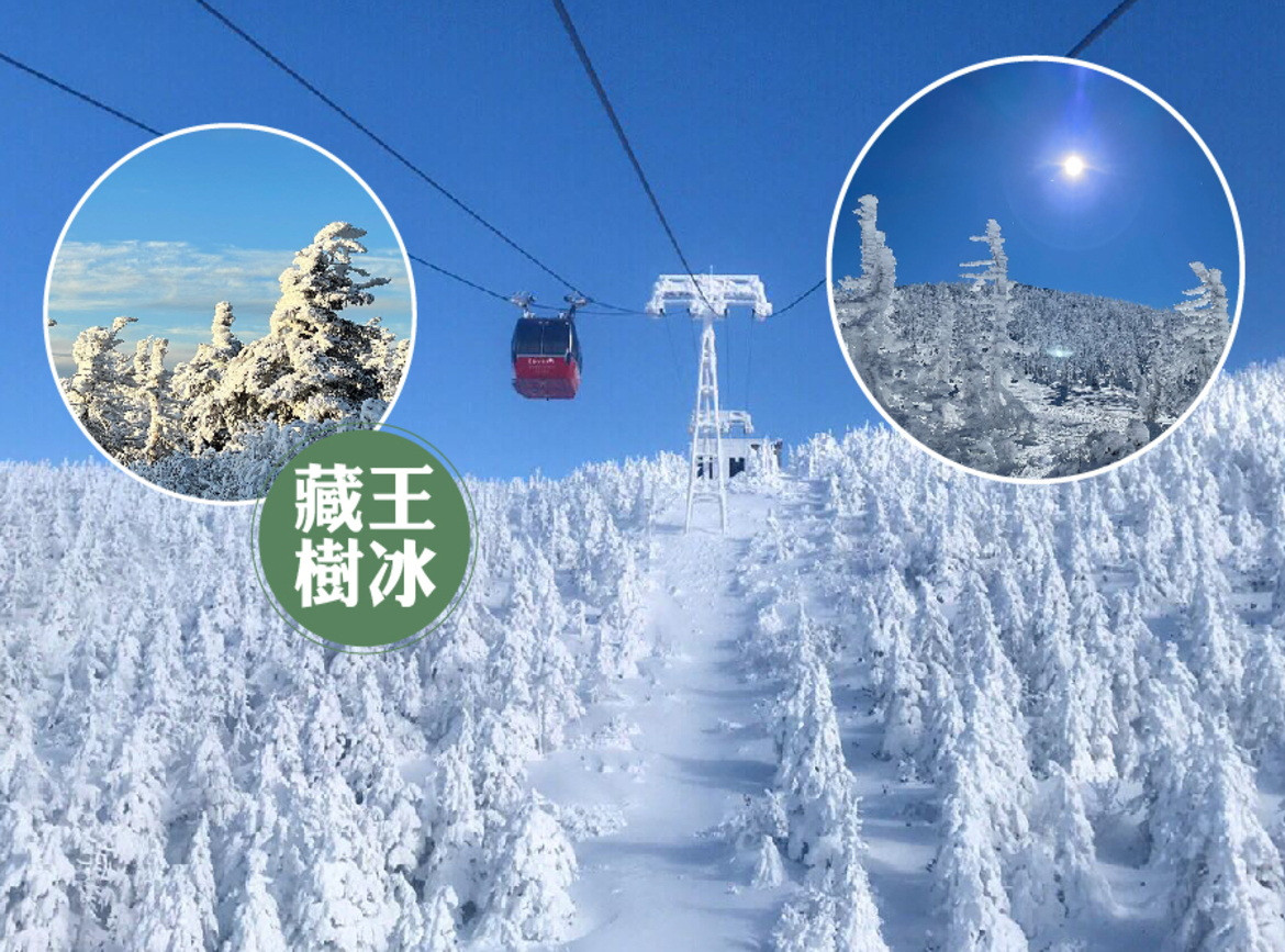 藏王樹冰纜車會津鐵道銀山溫泉街大內宿雪樂園玩雪日光東照宮採果溫泉7日東京自由活動迪斯尼樂園澀谷展望台