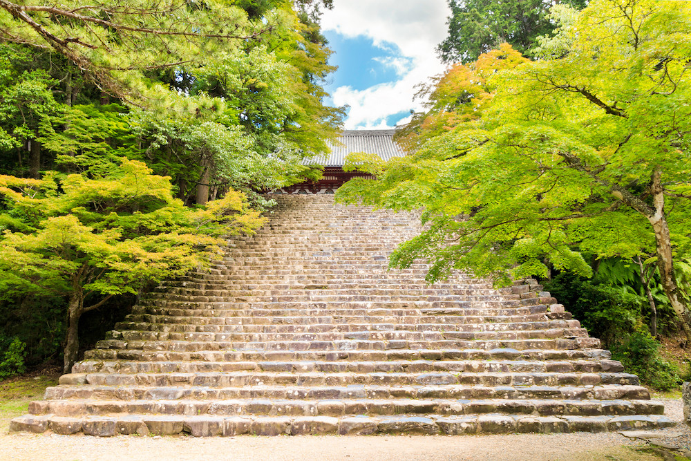 高尾山旅遊指南 熱門景點資訊 交通地圖 Eztravel易遊網