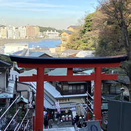 小資限定・鎌倉江之島・富士山纜車5日(成田/成田)灌籃高手熱門打卡景點、河口湖大石公園、天空町商店寶可夢中心