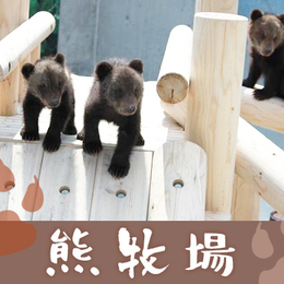 秋冬暖心獻禮♯北海道悠閒伴自助溫泉5日 |洞爺湖花火、可愛熊牧場、富良野花田、積丹半島、半自助漫遊(長榮)