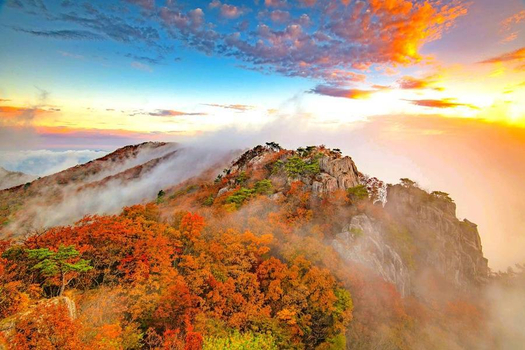 秋戀韓國~大芚山龍門纜車.愛寶樂園歐洲村.景福宮韓服.南怡島賞銀杏5日(一站彩妝)