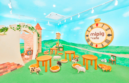 福岡Micro Pig Cafe迷你豬咖啡館體驗
