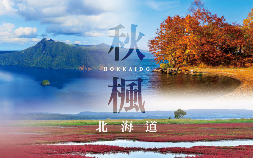 追楓早鳥省♯秋楓北海道5日-星野TOMAMU、紅葉、奇蹟紅葉谷、珊瑚草、黑岳纜車、旭山動物園、知床遊覽船、海鮮螃蟹和牛吃到飽