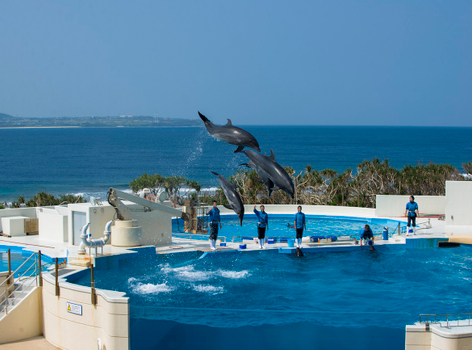 《每月一物》FUN遊沖繩四日～海洋博．古宇利大橋．美國村【中華航空】