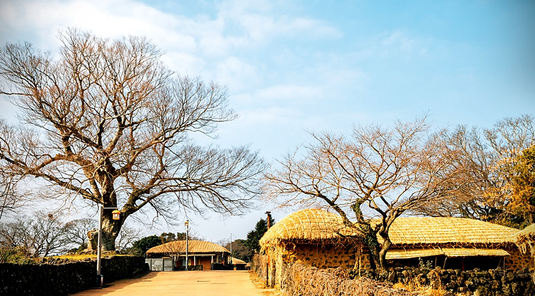 時尚濟州~神話世界.武藝秀.騎駱駝體驗 5天