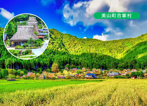 跟團限時省♯【出清一口價】美山合掌村關西三都5日.一晚京都.伏見稻荷神社.嵐山渡月橋.伊勢龍蝦相撲鍋.黑毛和牛.奈良小鹿