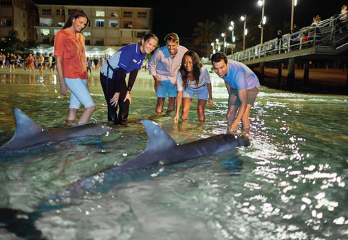 晚鳥限時搶♯澳洲黃金雪雙城之旅９天～海豚島、袋鼠無尾熊、藍山纜車、雪梨歌劇院、雪梨塔
