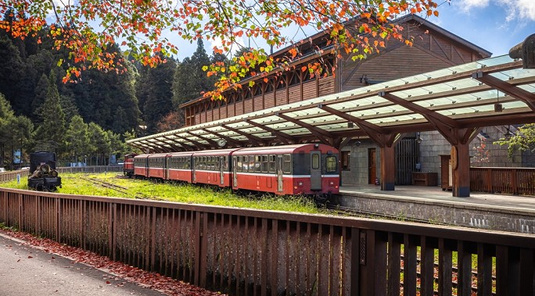 阿里山林鐵(下行)+祝山小火車2天