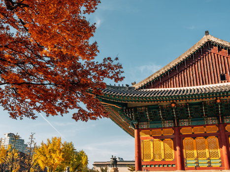 【楓紅首爾五日★不進人蔘保肝】秋日浪漫南怡島|粉紫芒花草|特色韓屋村|首爾林浪漫賞楓|德壽宮石牆路賞銀杏
