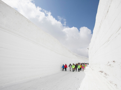 夢幻雪牆預購省♯立山黑部雪壁絕景~北陸春櫻雙重奏 溫泉湯樂5日(小松進出)童話合掌村.高山臥龍櫻.兼六園.牧歌之里